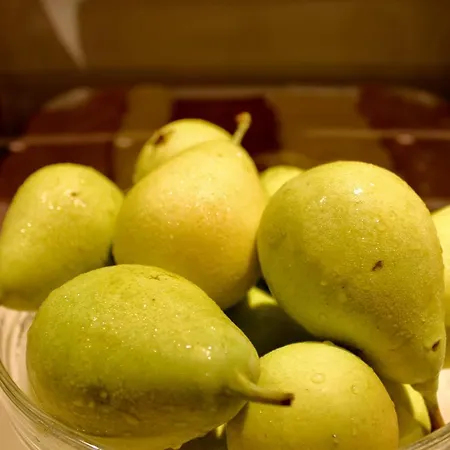 Hotell Dei Sette Vasto